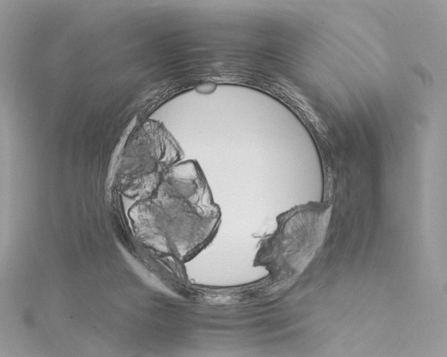 X0000115210161200911181536