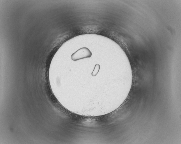 X0000115210162200911181536