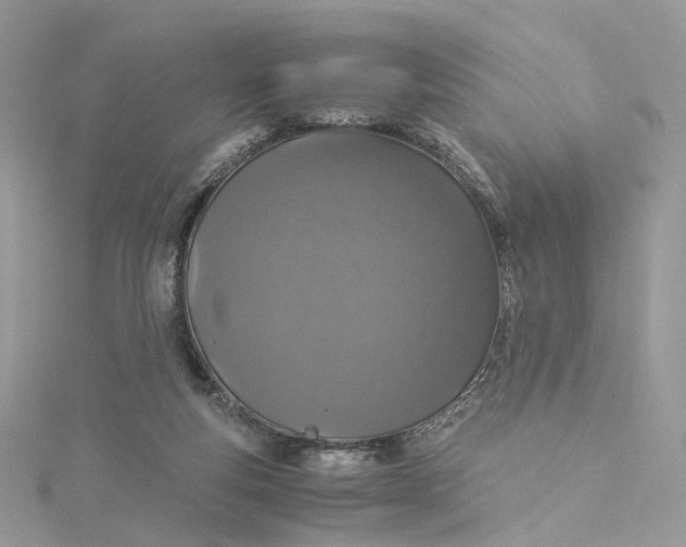 X0000115210163200911181536