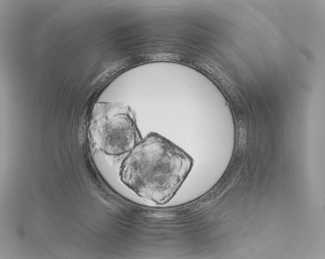 X0000115210165200911181536