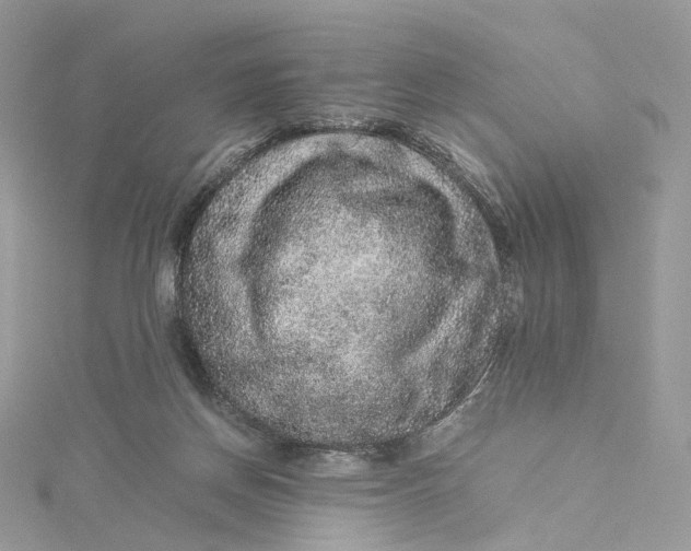 X0000115210166200911181536