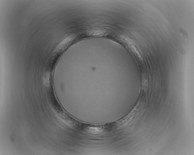 X0000115210167200911181536