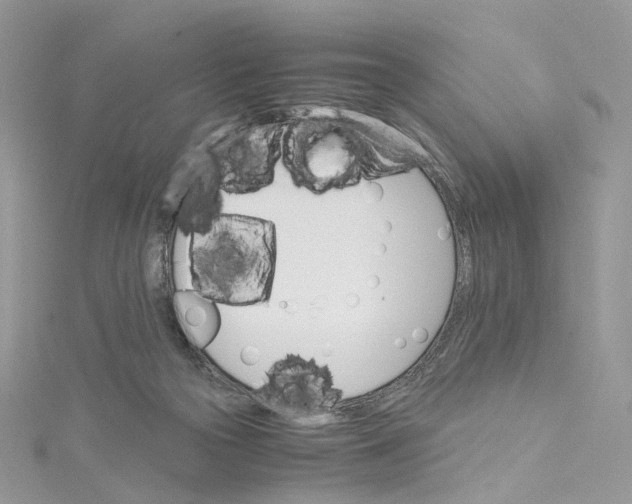 X0000115210169200911181536