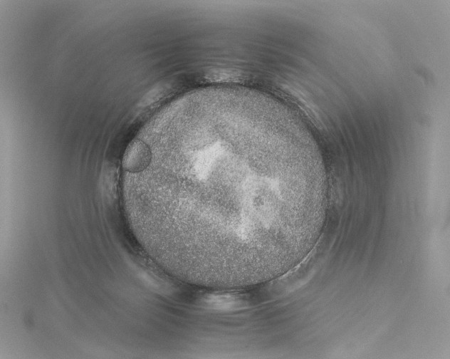 X0000115210171200911181536