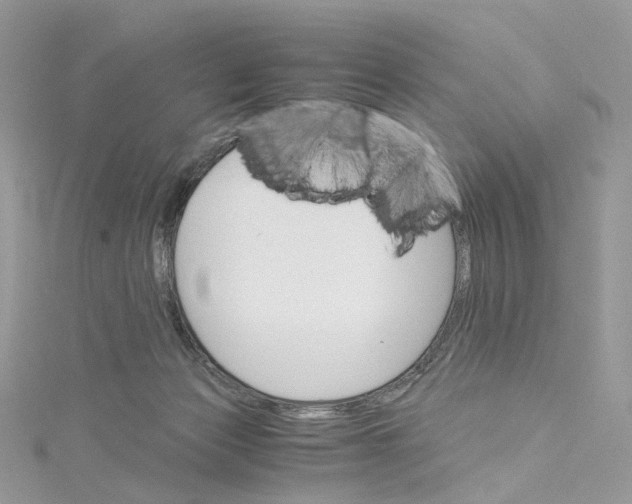 X0000115210173200911181536