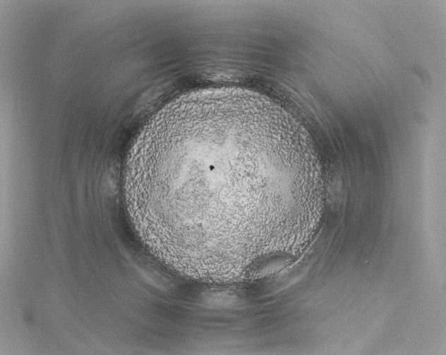 X0000115210175200911181536