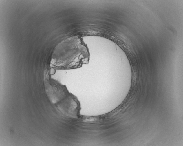 X0000115210177200911181536