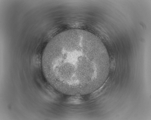 X0000115210179200911181536