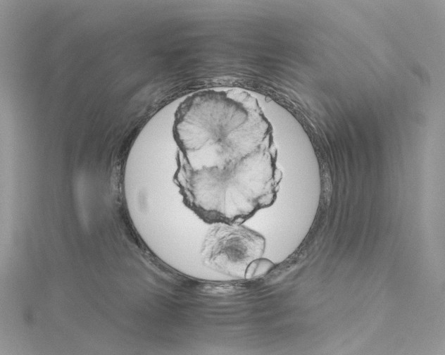 X0000115210181200911181536