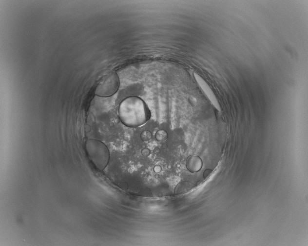 X0000115210182200911181536