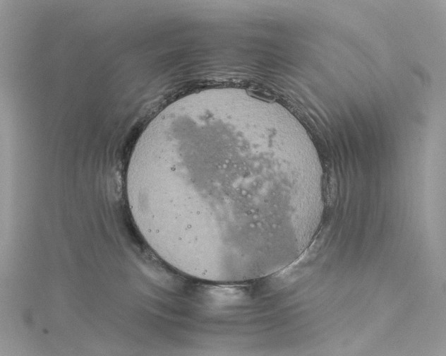 X0000115210183200911181536