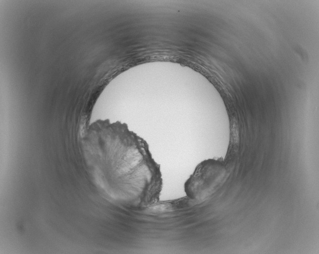 X0000115210185200911181536