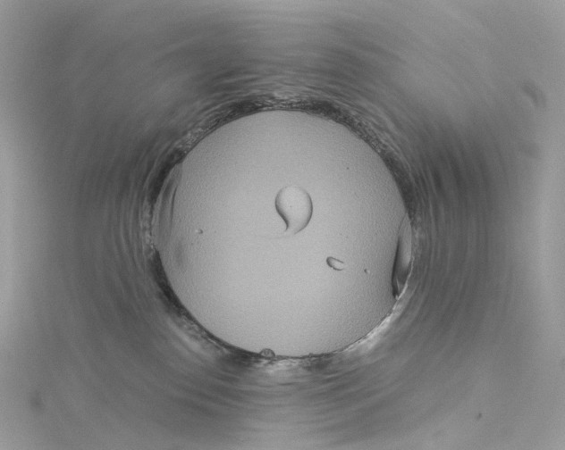 X0000115210186200911181536