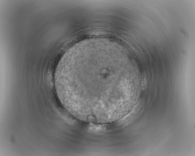 X0000115210187200911181536