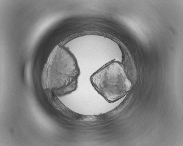 X0000115210189200911181536