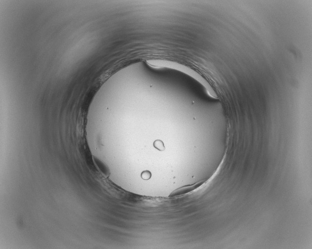 X0000115210190200911181536