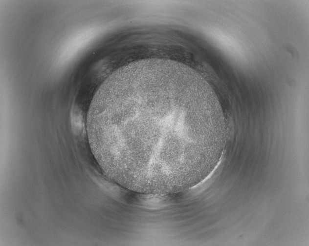 X0000115210191200911181536