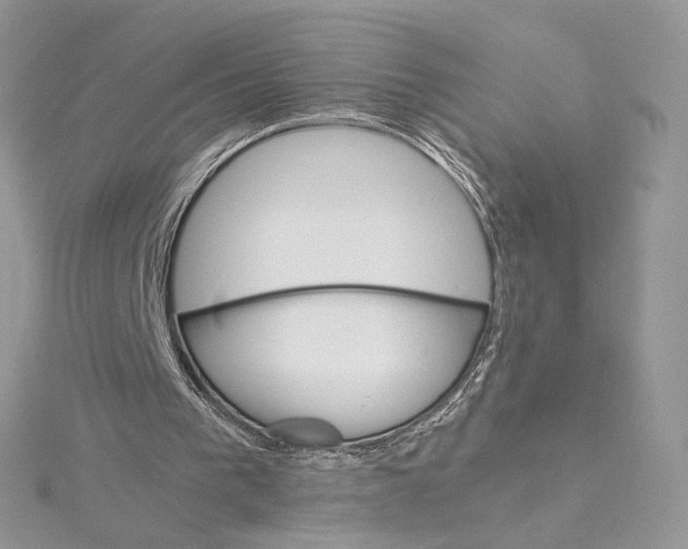 X0000115210193200911181535