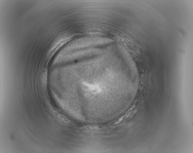 X0000115210194200911181535