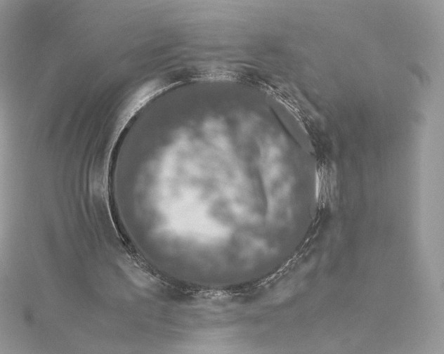 X0000115210195200911181535