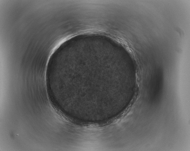 X0000115210196200911181535