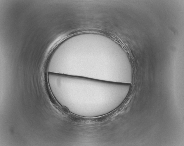 X0000115210197200911181535