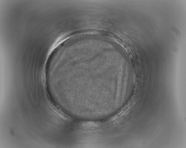 X0000115210198200911181535