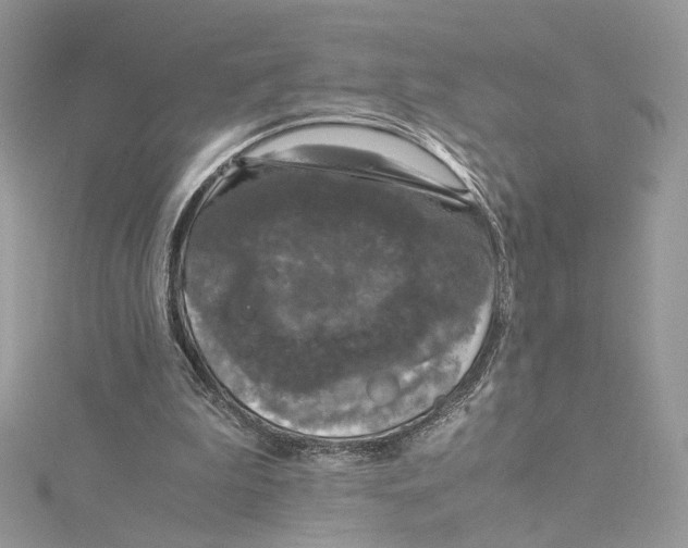 X0000115210199200911181535