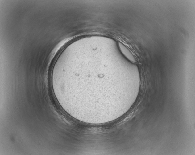 X0000115210200200911181535