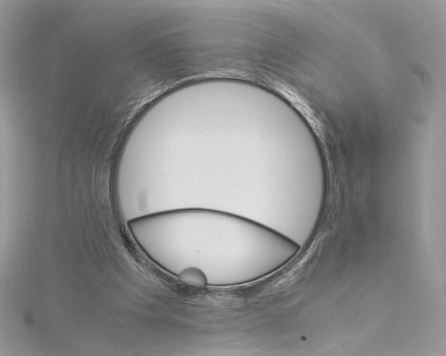 X0000115210201200911181535