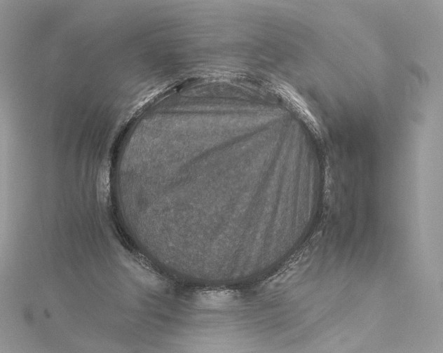 X0000115210202200911181535