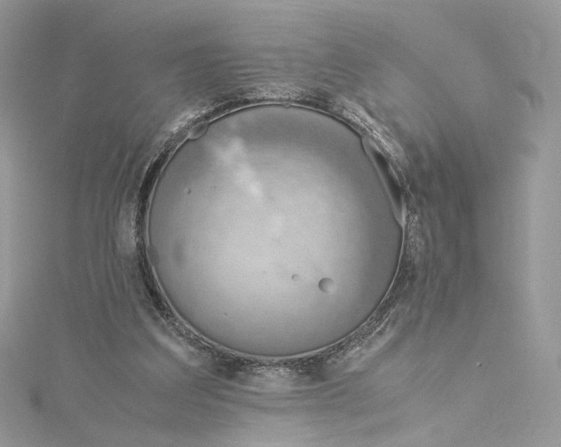 X0000115210203200911181535