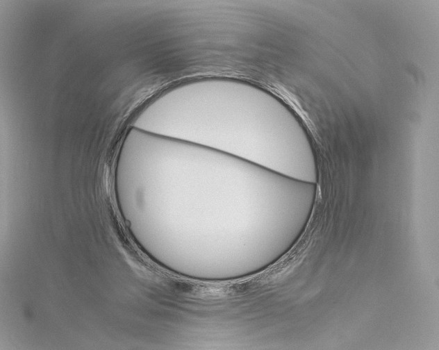 X0000115210205200911181535