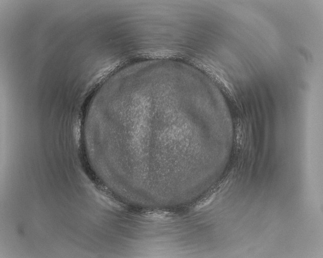 X0000115210206200911181535