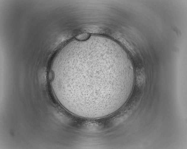 X0000115210207200911181535