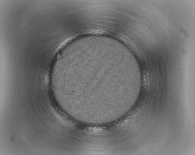 X0000115210208200911181535