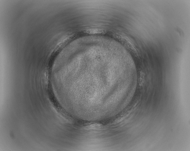 X0000115210210200911181535