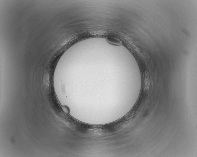 X0000115210211200911181535