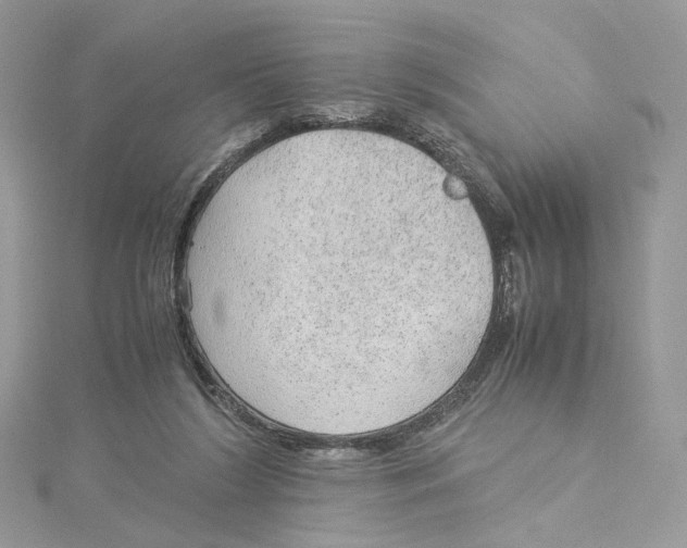 X0000115210212200911181535