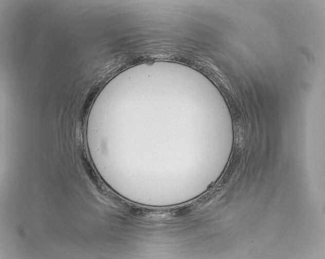 X0000115210213200911181535