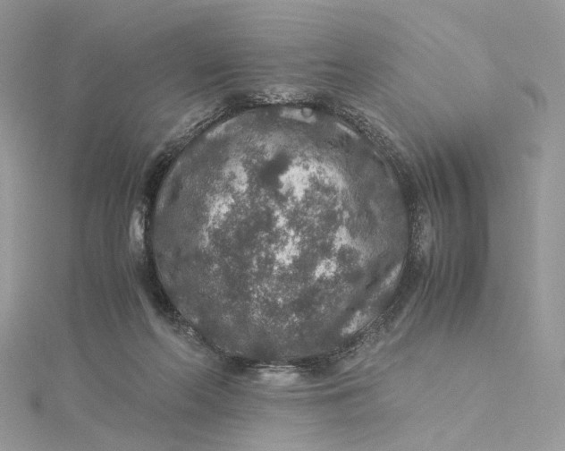 X0000115210214200911181535