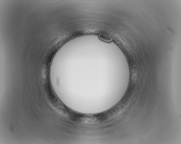 X0000115210215200911181535