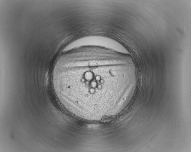 X0000115210216200911181535