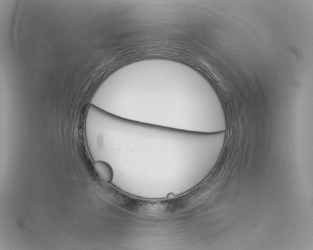 X0000115210217200911181535