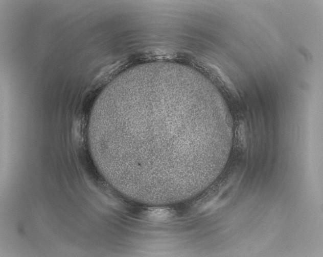 X0000115210218200911181535