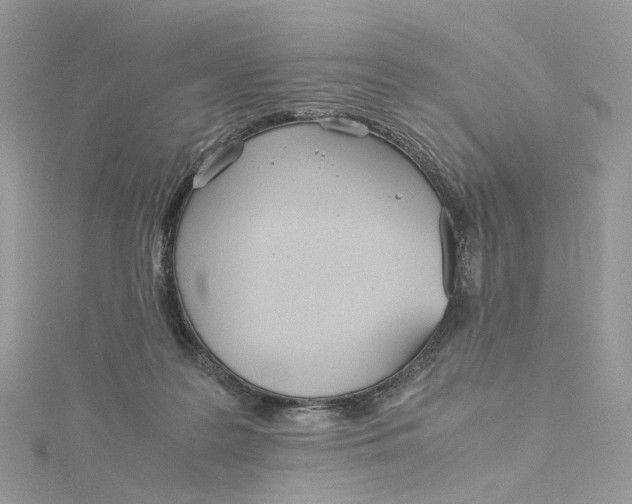 X0000115210219200911181535