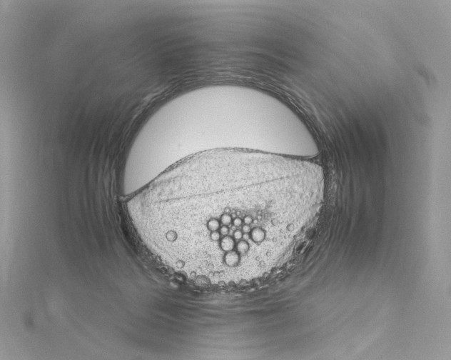 X0000115210220200911181535