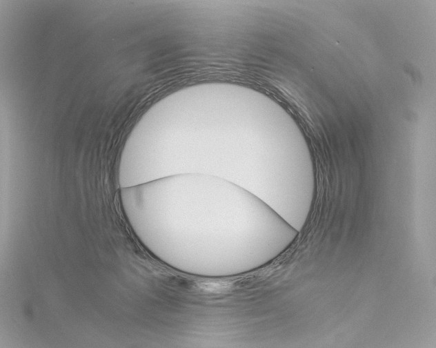 X0000115210221200911181535