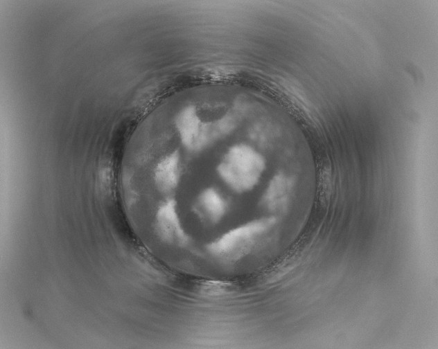 X0000115210222200911181535