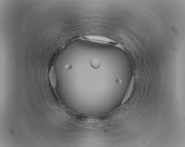 X0000115210223200911181535